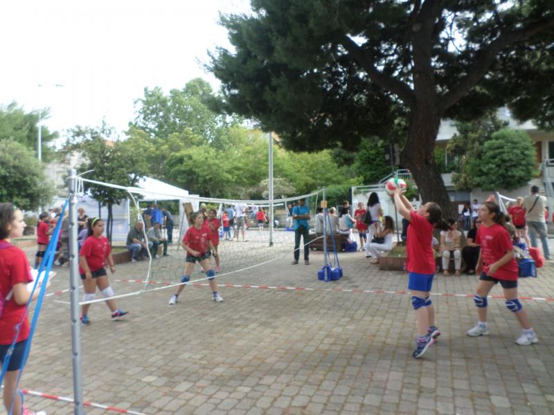 minivolley